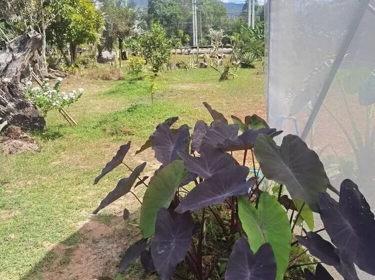 ホテル Wangnamkhao Resort