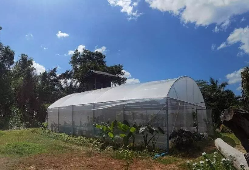 ホテル Wangnamkhao Resort