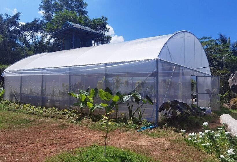 Отель Wangnamkhao Resort