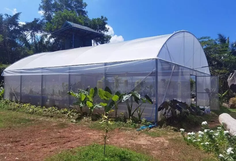 ホテル Wangnamkhao Resort