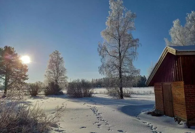 Opintola Bed & Breakfast