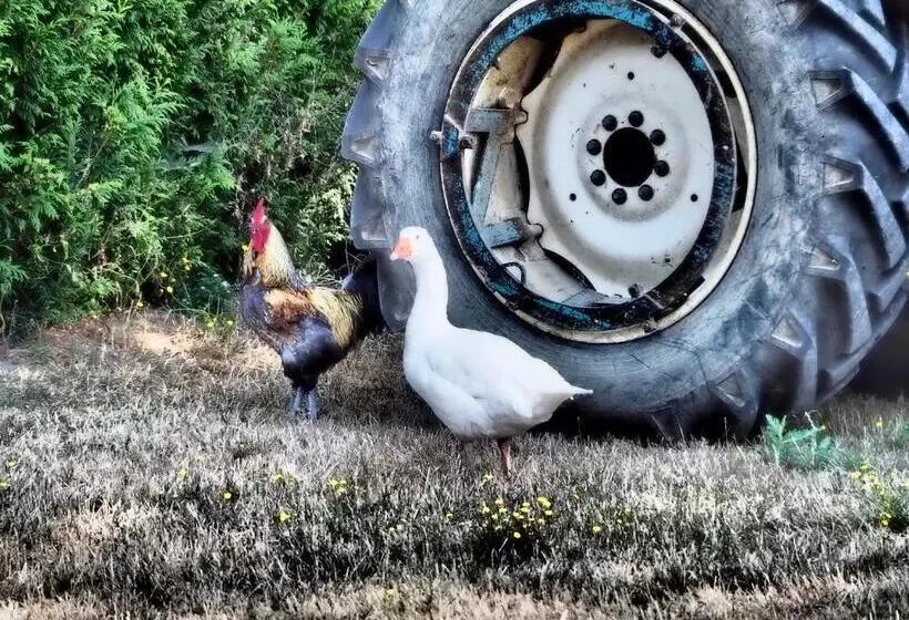 Majatalo La Boussieroise