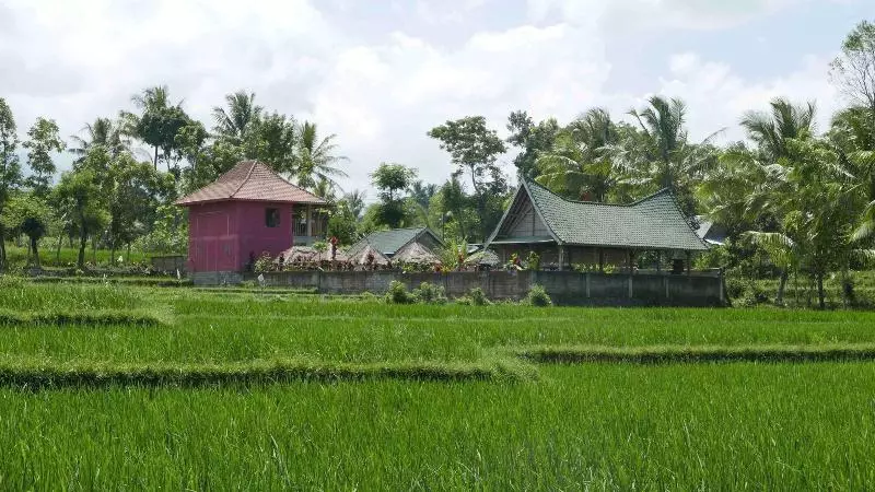 ベッドアンドブレックファースト Cahaya Tetebatu Inn