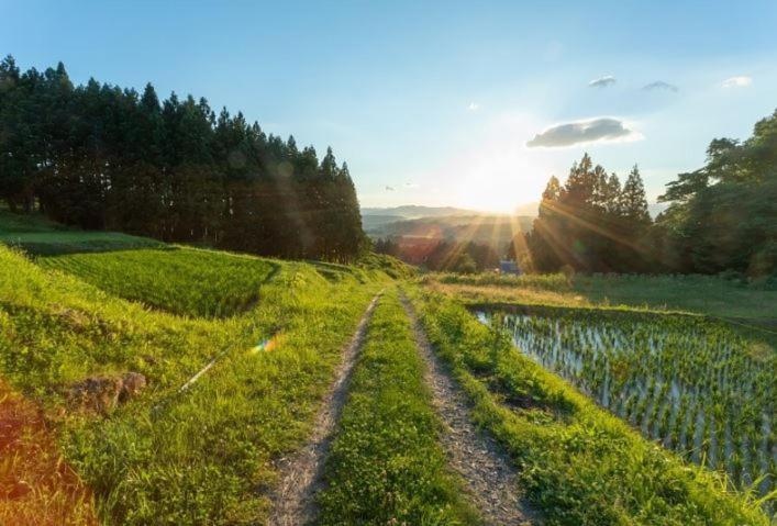 Hostal Nipponia Fukusumi Post Town