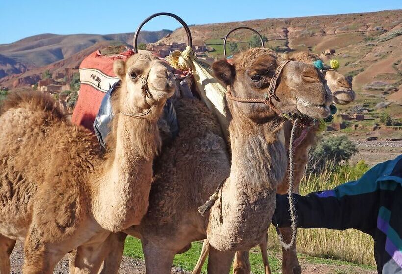 ホテル Kasbah Angour