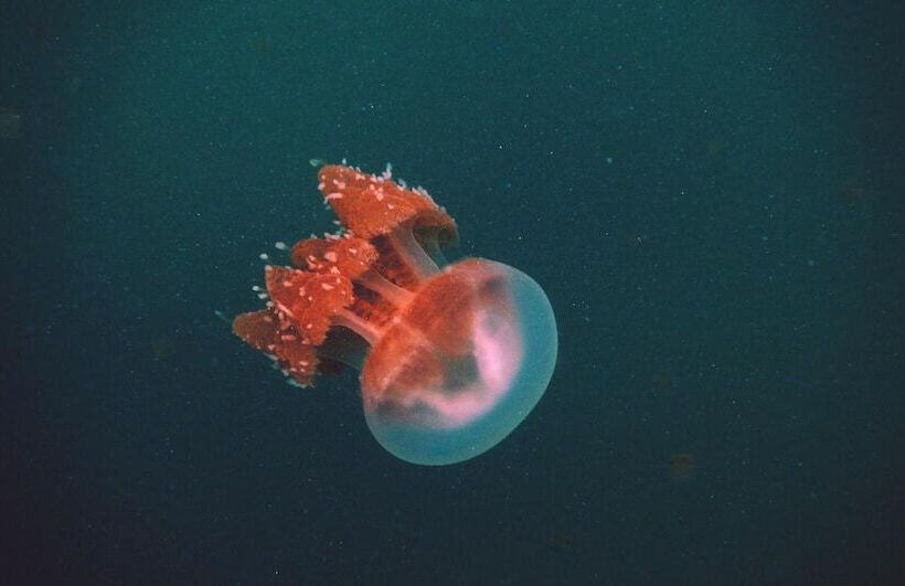 בית מלון כפרי Pratasaba Resort