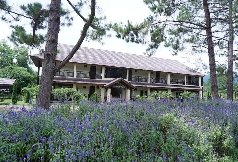 Hotelli Rai Juthamas Resort