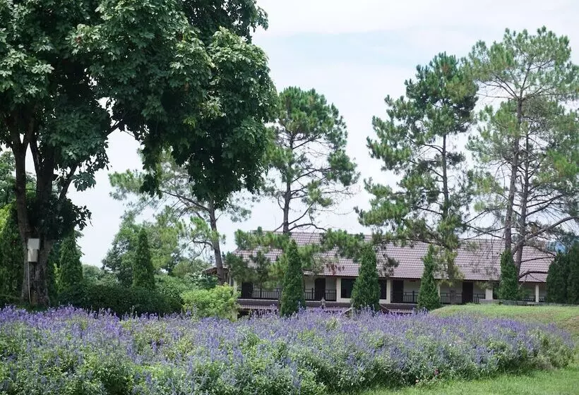 Hotelli Rai Juthamas Resort