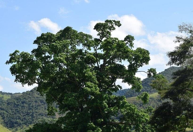 فندق ريفى Fazenda São Fernando