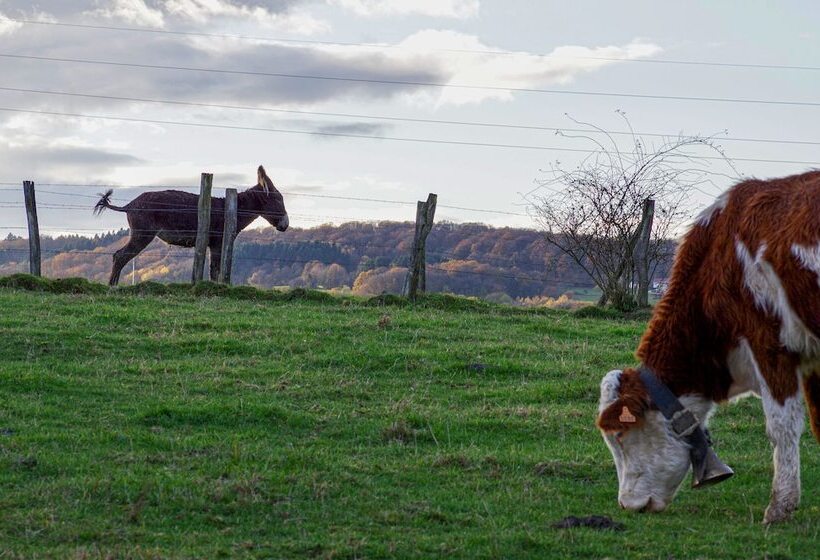 膳宿费 F2 Meublé Gite De France 3 épis City Break Près De Belfort