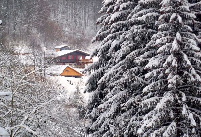 膳宿费 F2 Meublé Gite De France 3 épis City Break Près De Belfort