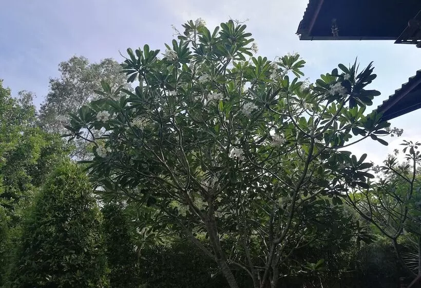 Majatalo Kumkhumsriwangchai Amphawa