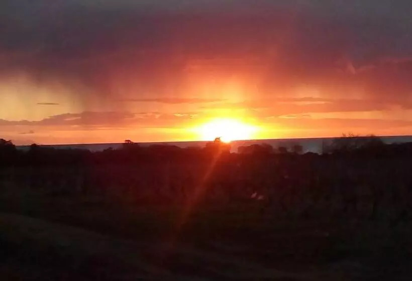 レジデンス Rico Plage