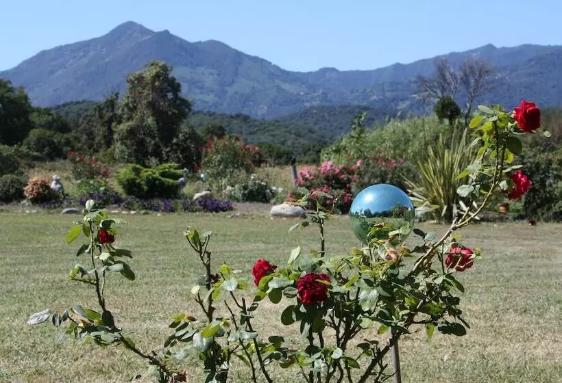 レジデンス Rico Plage