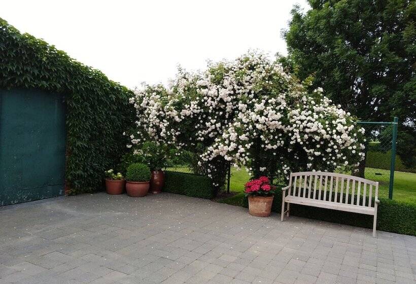 T Hooghe Licht Bed & Breakfast