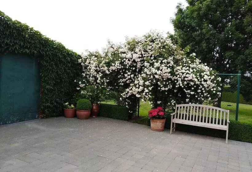 T Hooghe Licht Bed & Breakfast