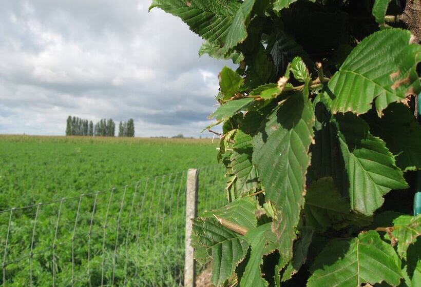 T Hooghe Licht Bed & Breakfast