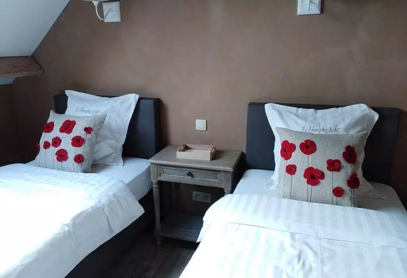 T Hooghe Licht Bed & Breakfast