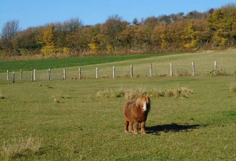 ベッドアンドブレックファースト Les Charmes Du Petit Pré