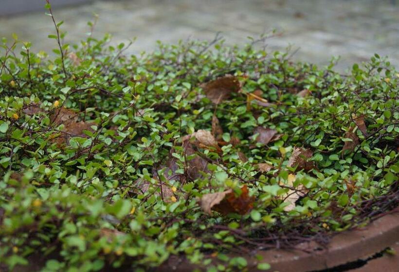 Bed and Breakfast Les Charmes Du Petit Pré
