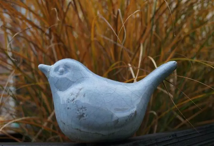 ベッドアンドブレックファースト Les Charmes Du Petit Pré