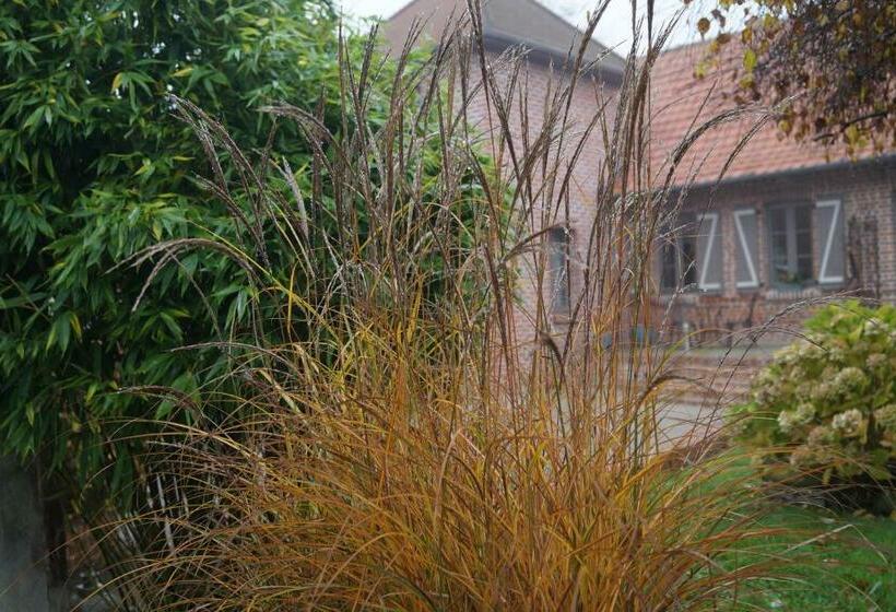 Bed and Breakfast Les Charmes Du Petit Pré