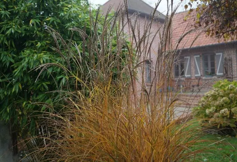 ベッドアンドブレックファースト Les Charmes Du Petit Pré