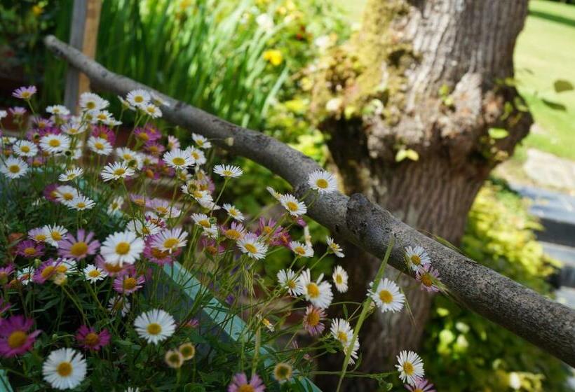 Bed and Breakfast Les Charmes Du Petit Pré