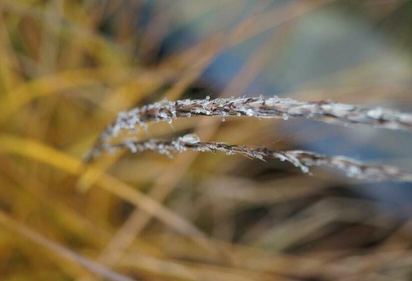 Bed and Breakfast Les Charmes Du Petit Pré