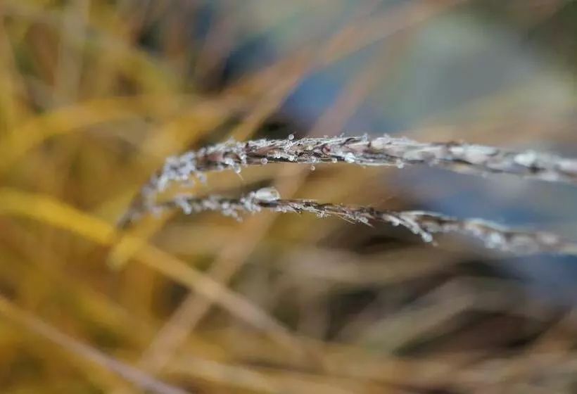 ベッドアンドブレックファースト Les Charmes Du Petit Pré