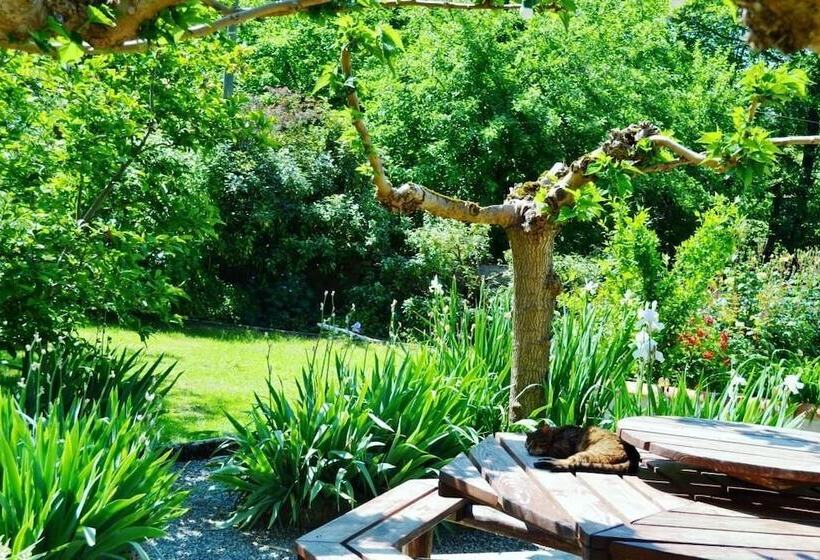 ベッドアンドブレックファースト Maison Esmeralda