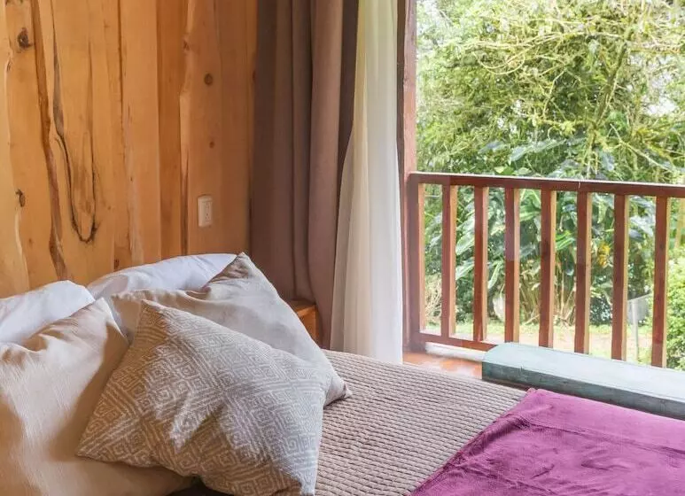 ホテル Cedrela Ecolodge