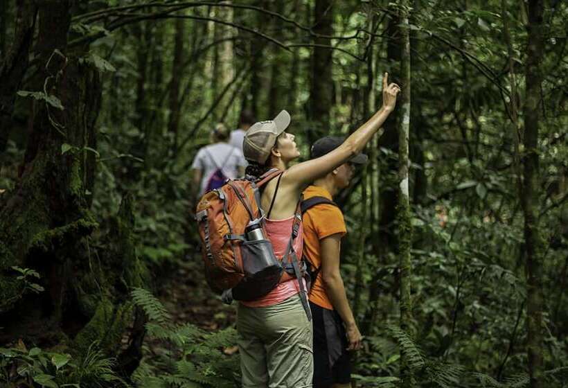 Hotel Cedrela Ecolodge