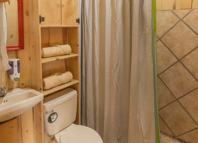 ホテル Cedrela Ecolodge