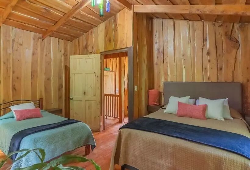 ホテル Cedrela Ecolodge