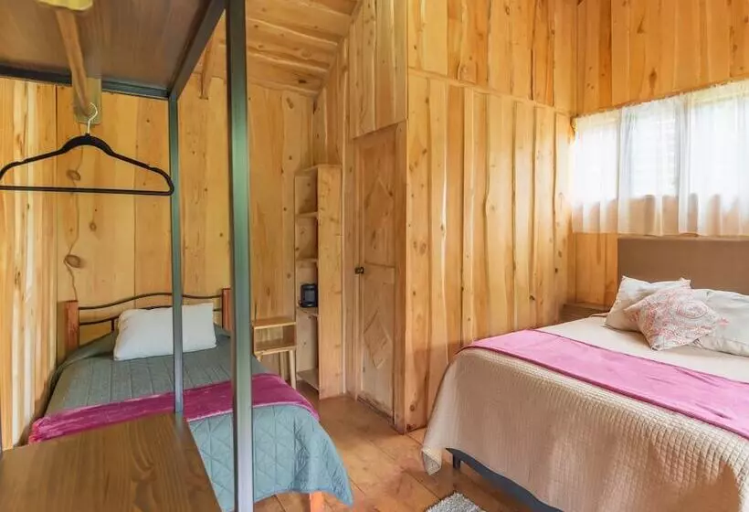 ホテル Cedrela Ecolodge