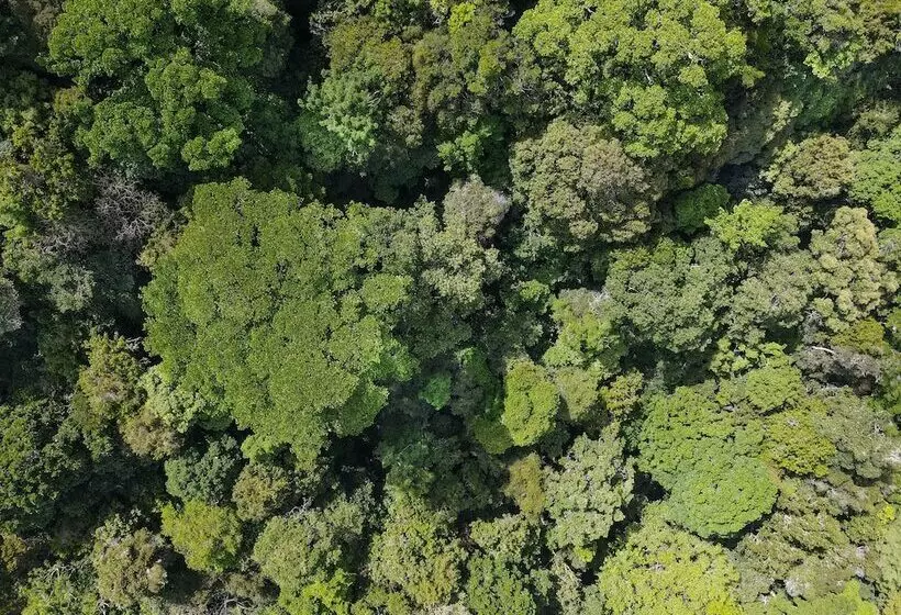 ホテル Cedrela Ecolodge