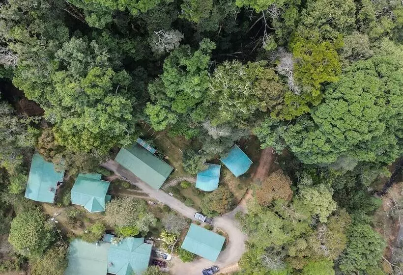 ホテル Cedrela Ecolodge