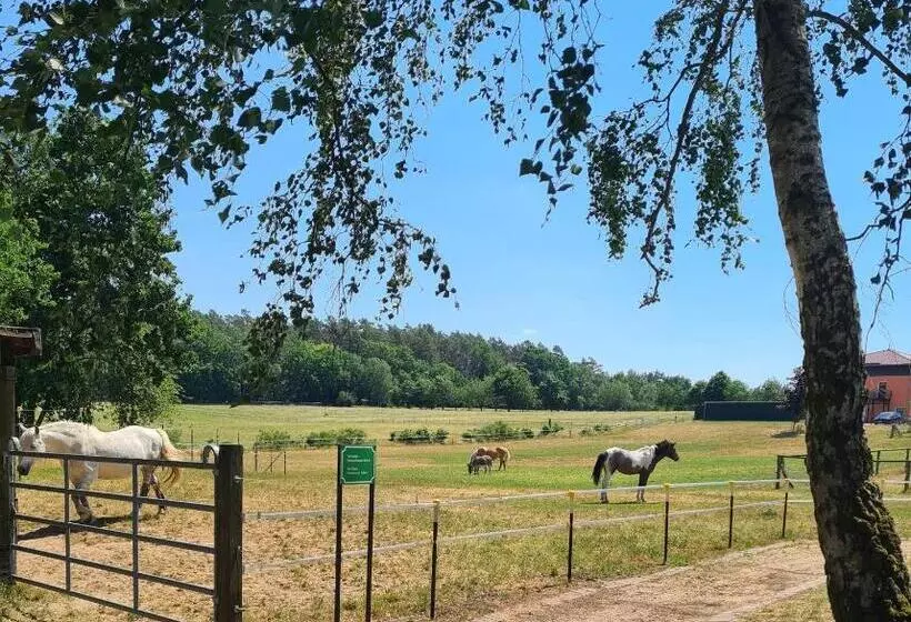 Kur & Landhotel Borstel   Treff