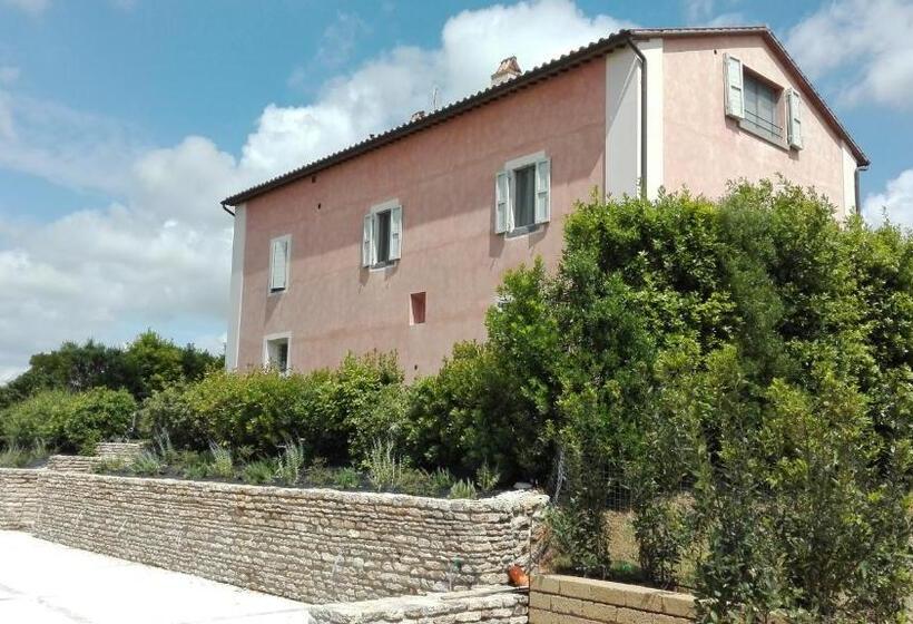 乡村酒店 Agriturismo Casale Bonaparte