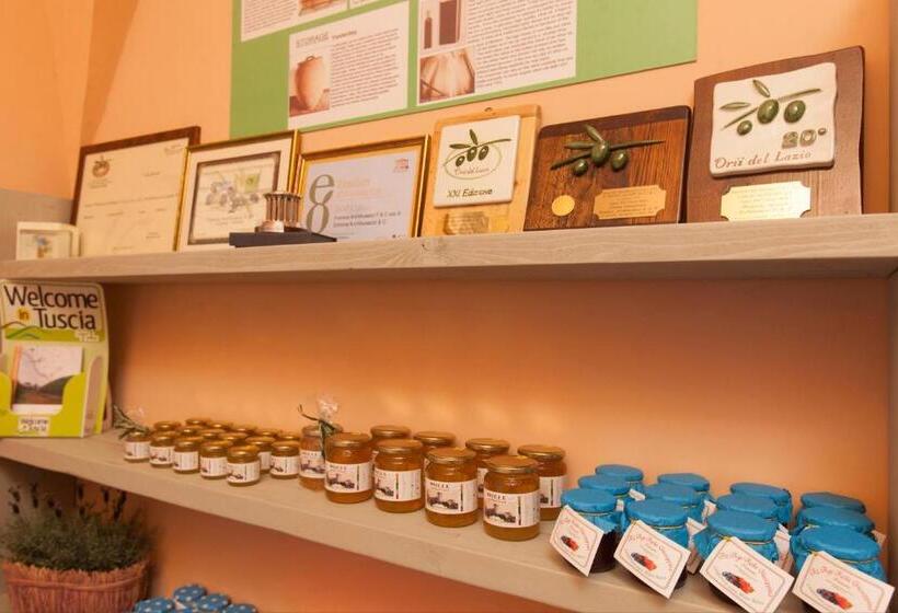 乡村酒店 Agriturismo Casale Bonaparte