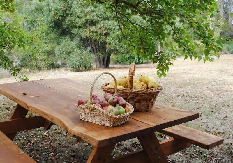 Hotel Tranquil Point