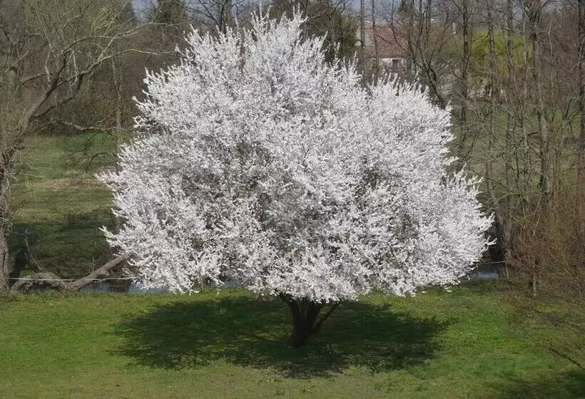 ペンション La Cuvellerie