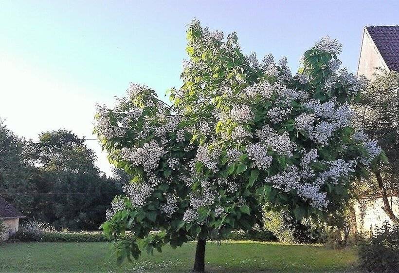 بنسيون La Cuvellerie