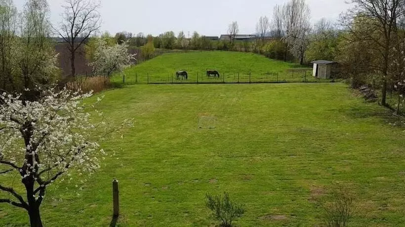 ベッドアンドブレックファースト Le Moulin De Krautergersheim