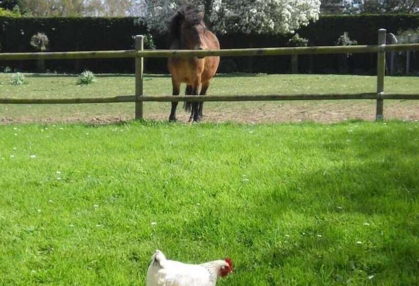 مبيت وإفطار Les 4 Saisons