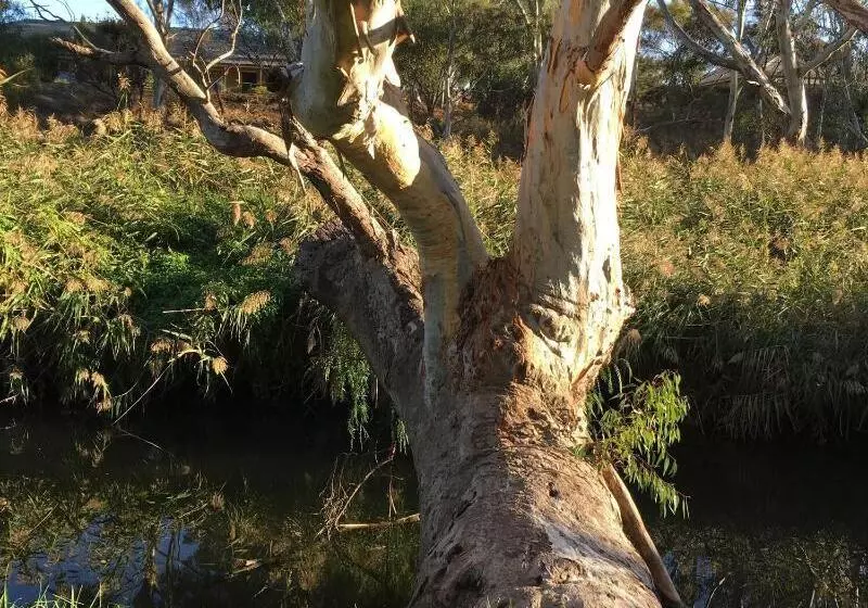 Gasworks B&b Cottages