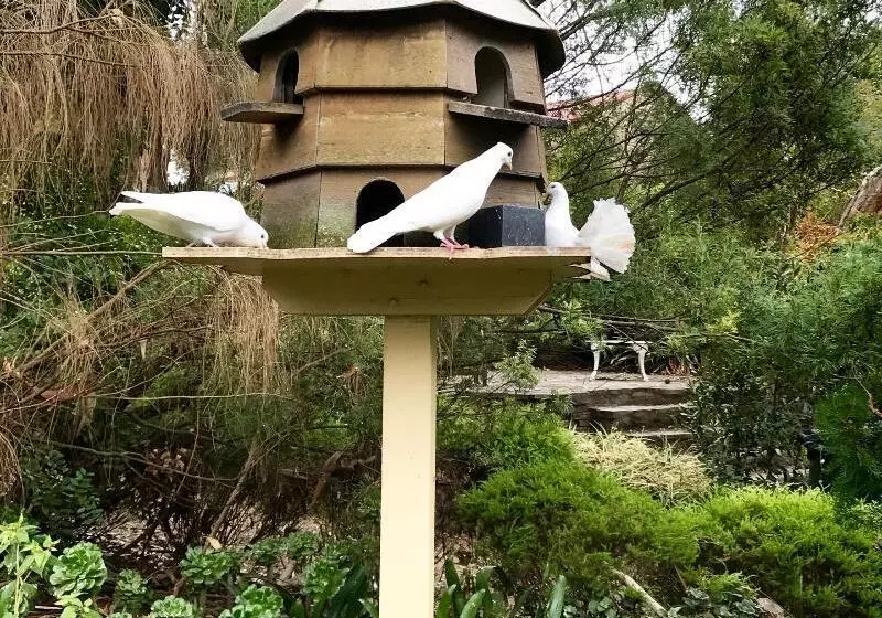 Gasworks B&b Cottages