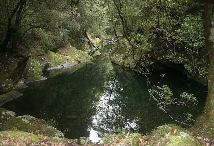 Bluegums Cabins Barrington Tops