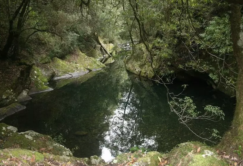 Bluegums Cabins Barrington Tops